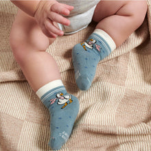 Load image into Gallery viewer, Garden Friends Baby Sock Set