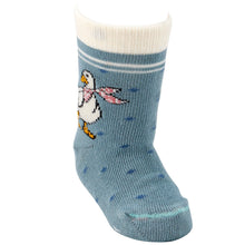 Load image into Gallery viewer, Garden Friends Baby Sock Set