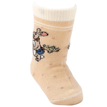 Load image into Gallery viewer, Garden Friends Baby Sock Set