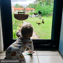 Load image into Gallery viewer, Noah’s Ark Suction Toy
